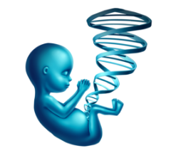 선천적 기형 및 변형 원인